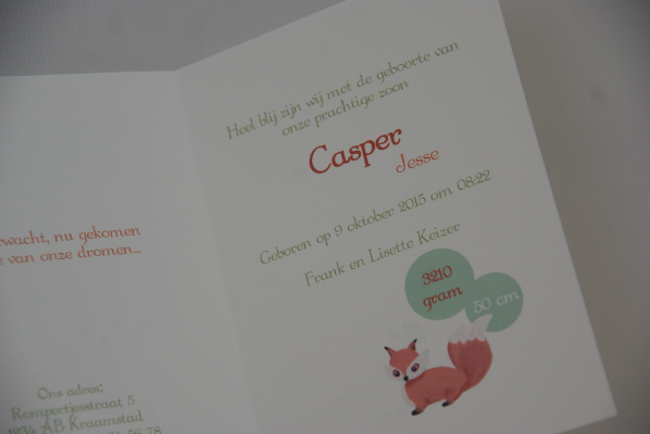 geboortekaartje casper lichtgroen 